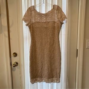 Simply gorgeous beige lace with gold sparkle stretch dress  12P